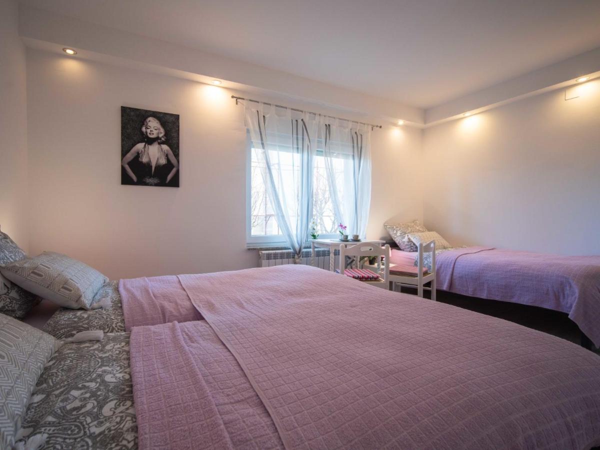 Apartment Rita By Interhome Drazice Екстер'єр фото